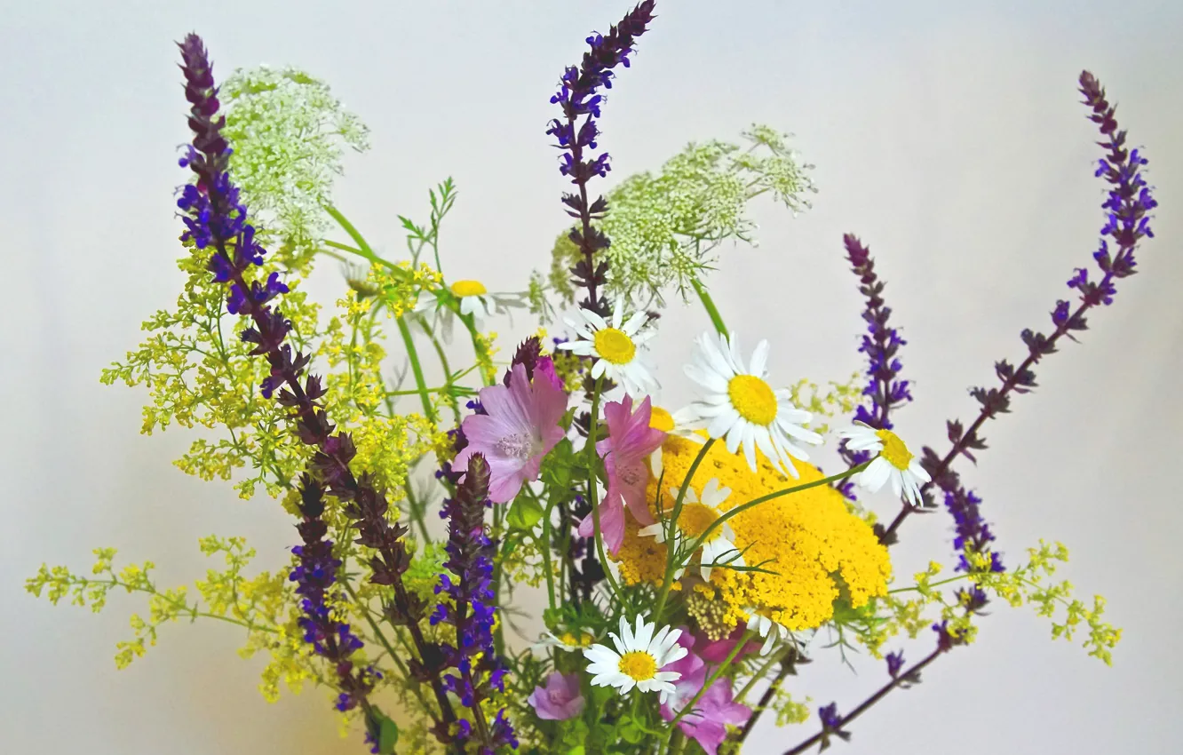 Photo wallpaper nature, chamomile, bouquet, wildflowers