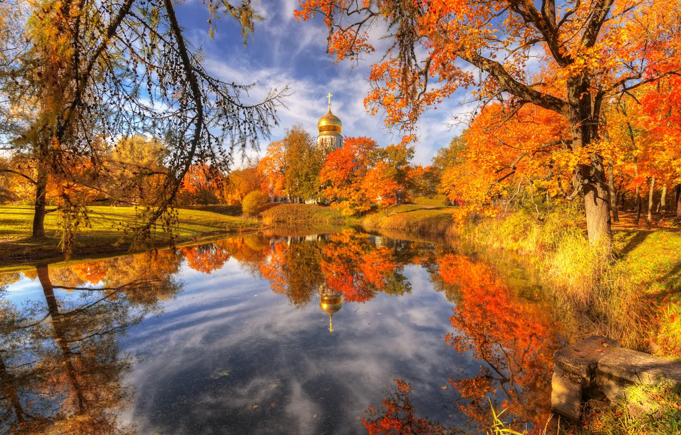 Photo wallpaper autumn, landscape, branches, nature, the city, pond, Park, reflection