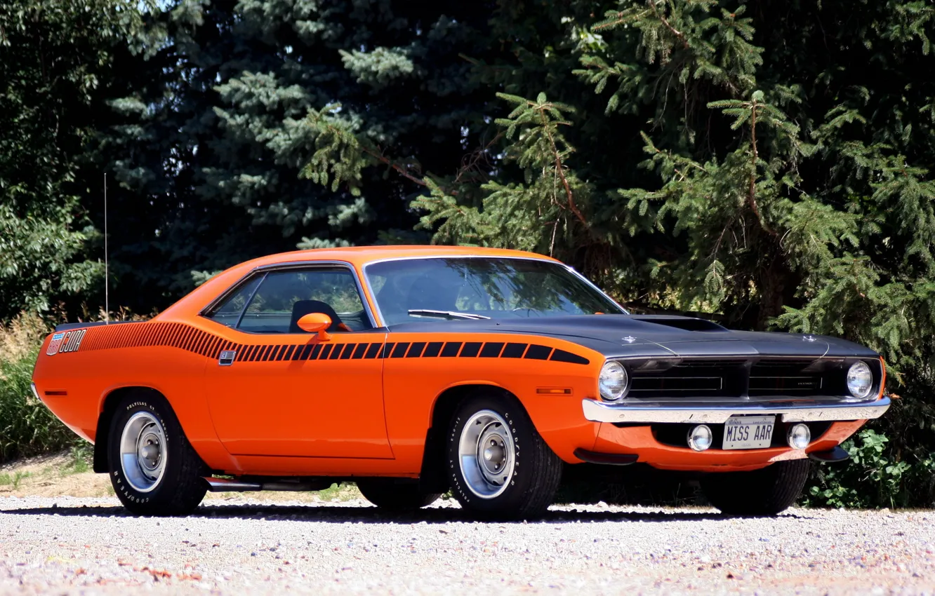 Photo wallpaper muscle car, muscle car, 1970, Plymouth, where, plymouth, cuda