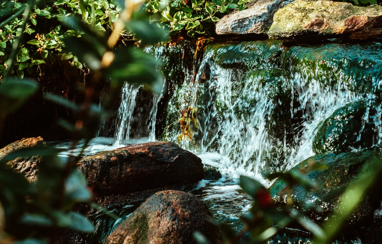 Photo wallpaper leaves, water, stream, stones, the bushes, Salen, wet stones
