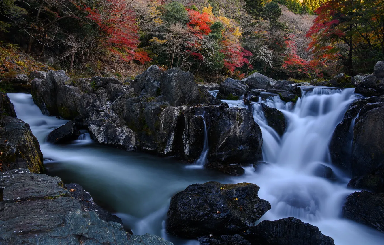 Photo wallpaper autumn, forest, trees, stones, rocks, waterfall, stream, blocks