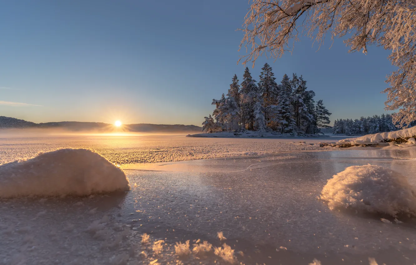 Photo wallpaper winter, snow, trees, sunrise, dawn, island, ice, morning