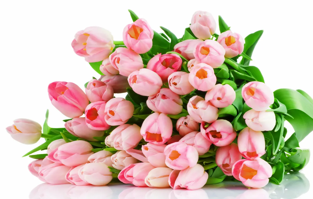 Photo wallpaper flowers, bouquet, tulips, pink, pink, tulips
