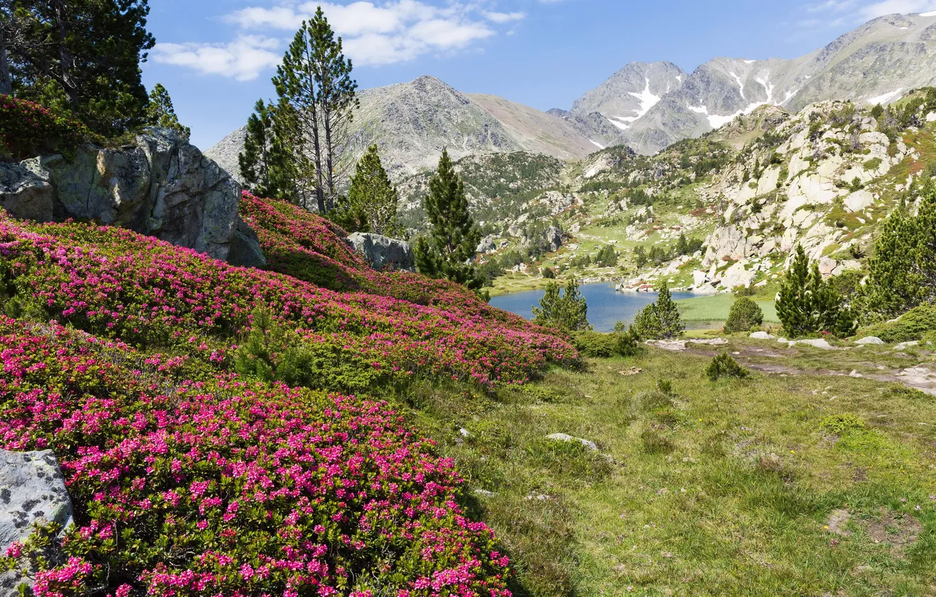 Photo wallpaper grass, trees, flowers, mountains, lake, stones, France, Sunny