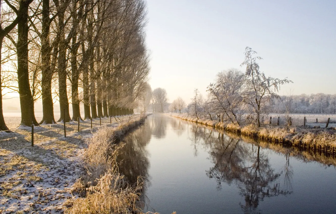 Photo wallpaper winter, trees, nature, river, alley