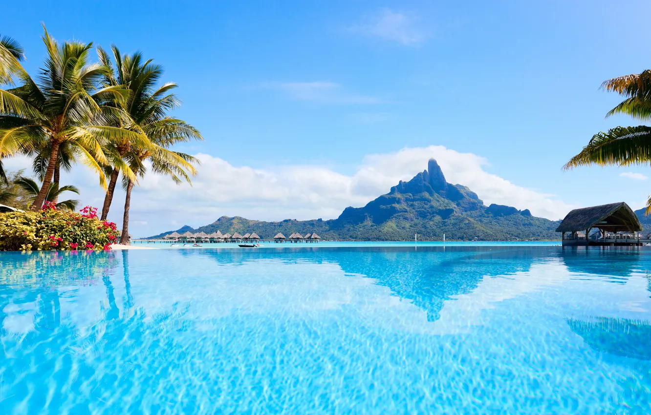 Photo wallpaper sea, mountains, palm trees, Bora Bora, Bungalow