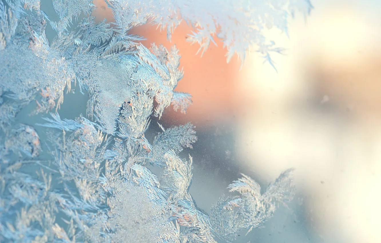 Photo wallpaper ice, winter, ice, winter, frosty pattern