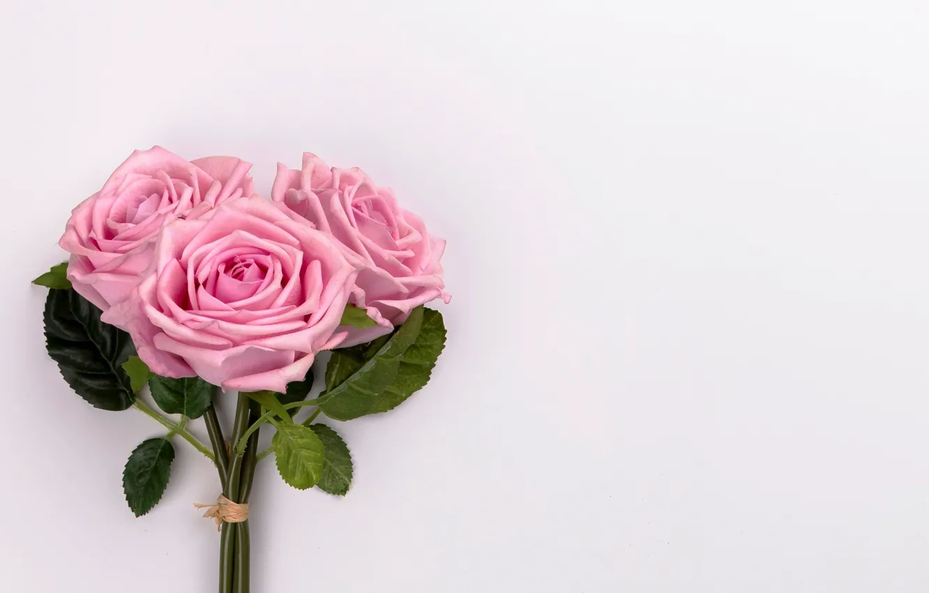 Photo wallpaper flowers, roses, bouquet, pink, pink, flowers, roses, tender