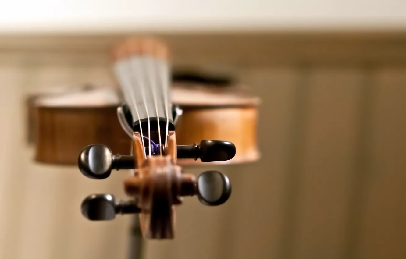 Photo wallpaper macro, music, violin
