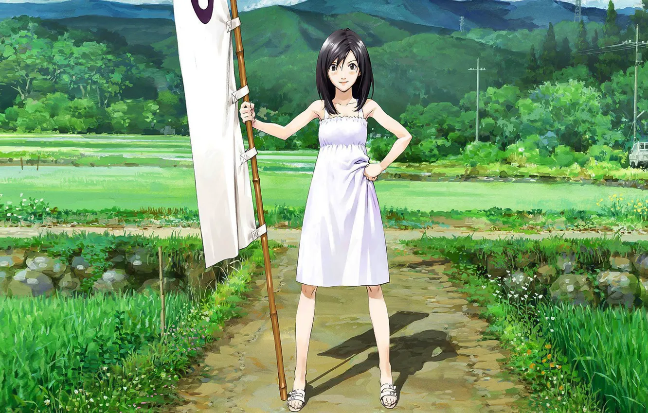 Photo wallpaper girl, anime, japanese, bishojo, Summer Wars