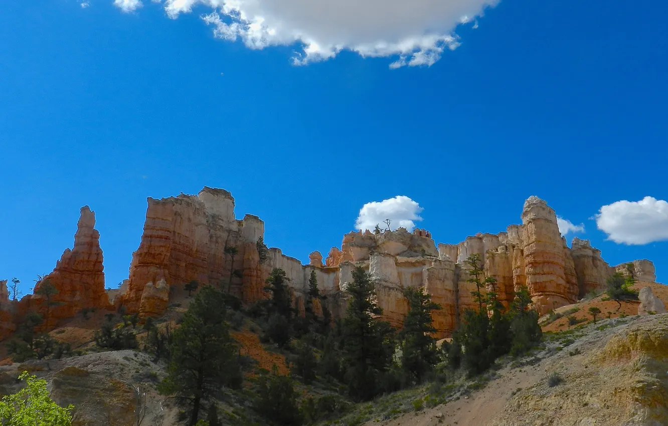Photo wallpaper Park, color, canyon, red, USA, Utah, national, Bryce Canyon National Park