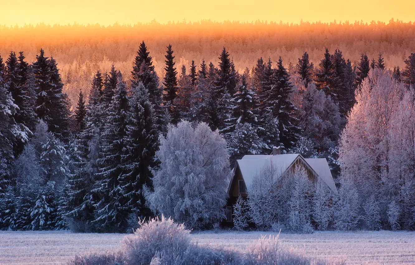 Photo wallpaper winter, forest, snow, house, frost, cold winter day