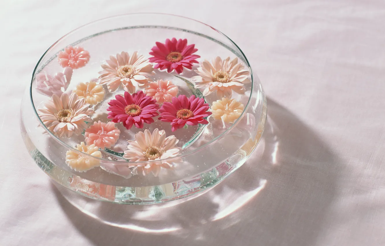 Photo wallpaper water, flowers, red, vase, pink, white, gerbera
