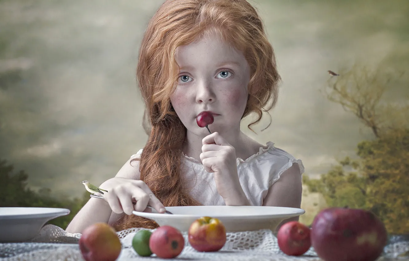 Photo wallpaper mood, apples, plate, girl, red, bird, redhead, cherry