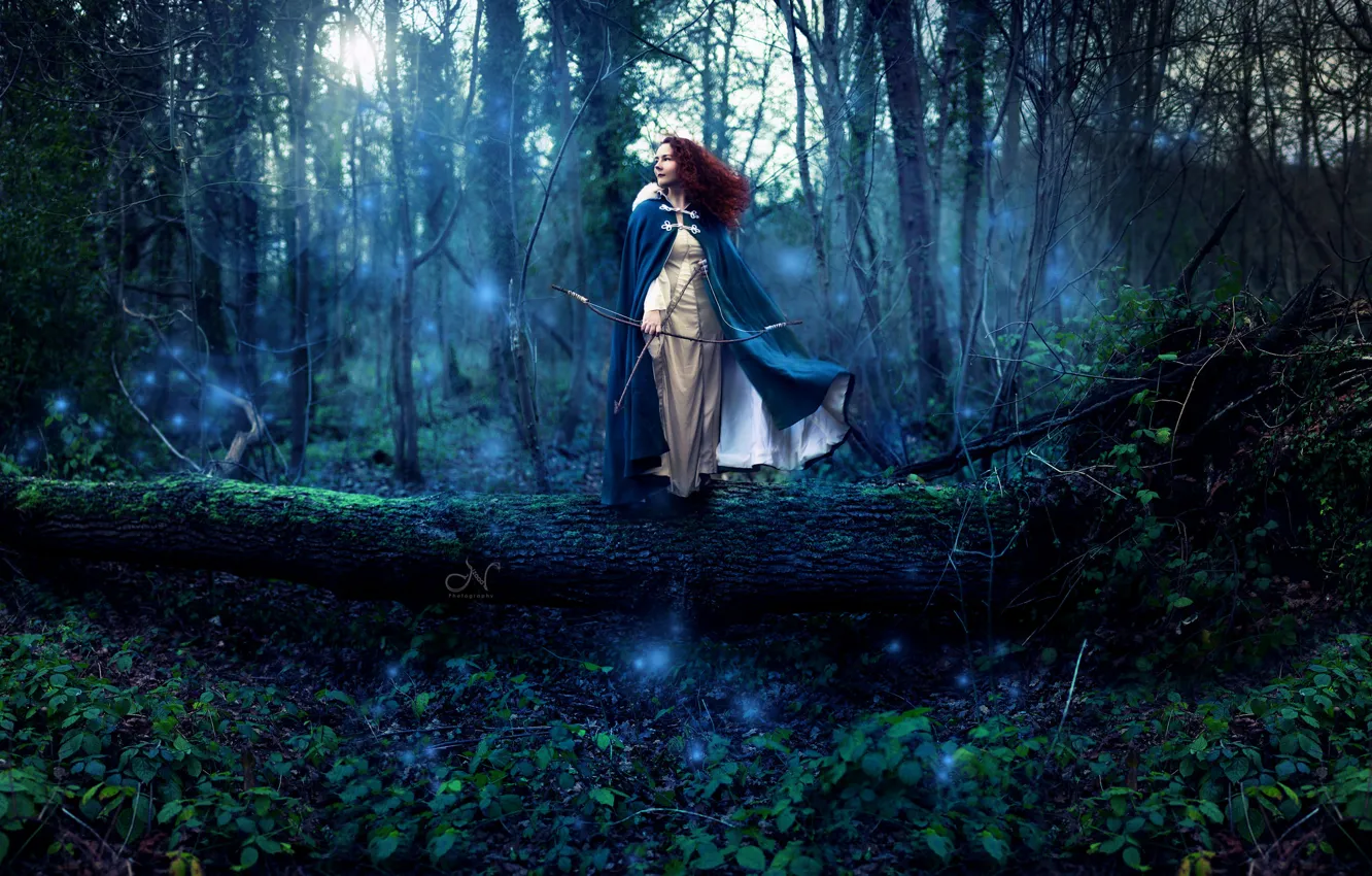 Photo wallpaper forest, girl, bow
