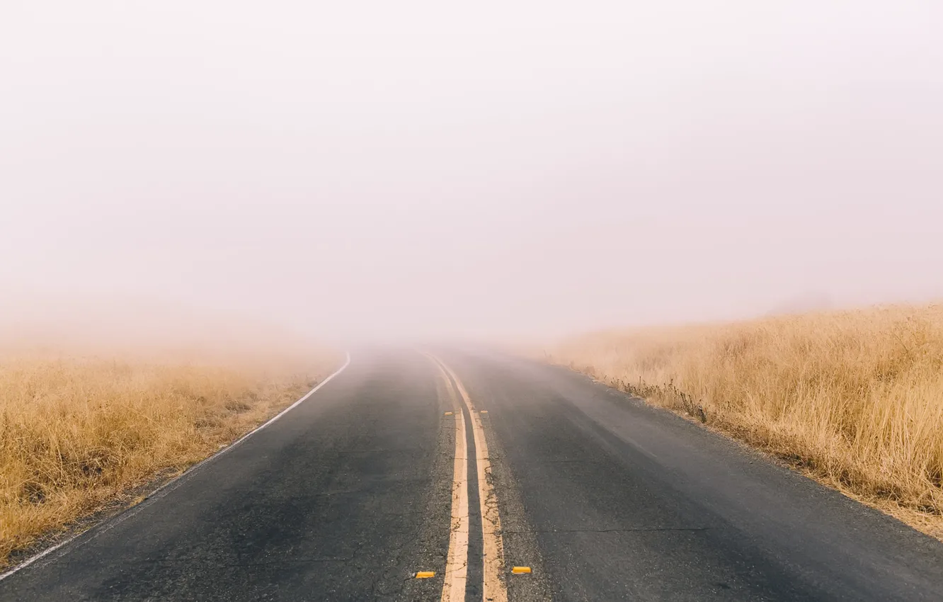 Photo wallpaper road, nature, fog