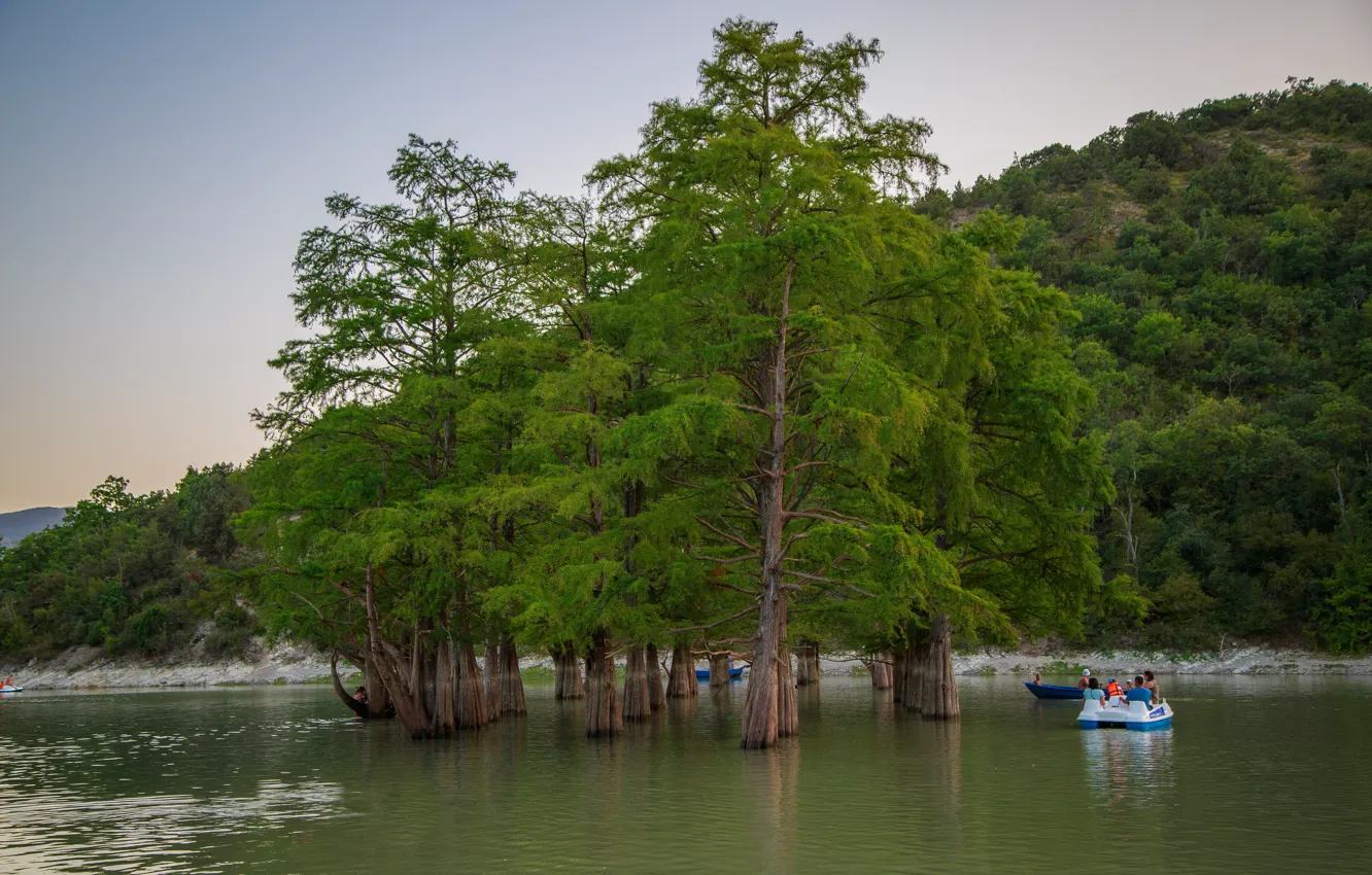 Photo wallpaper summer, lake, cypress, Anapa