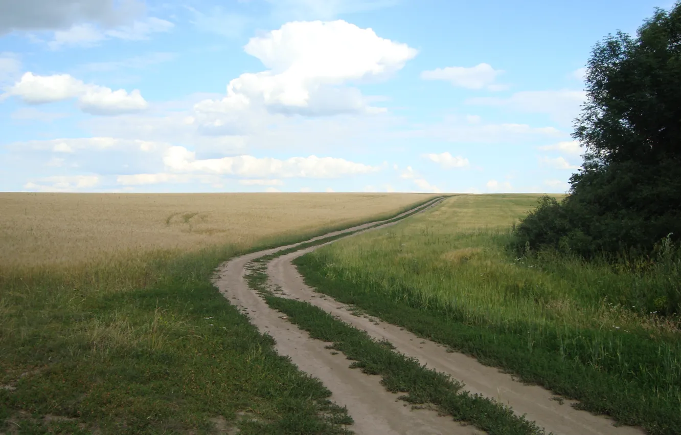 Photo wallpaper road, wheat, field, bread, space