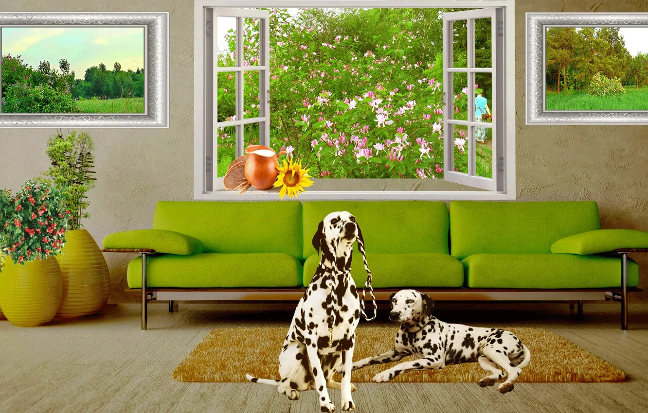 Photo wallpaper flowers, nature, room, interior, window, Dogs