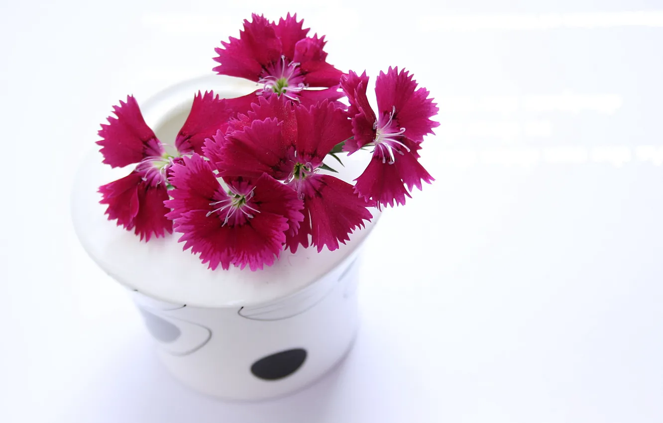 Photo wallpaper flowers, white background, vase, clove