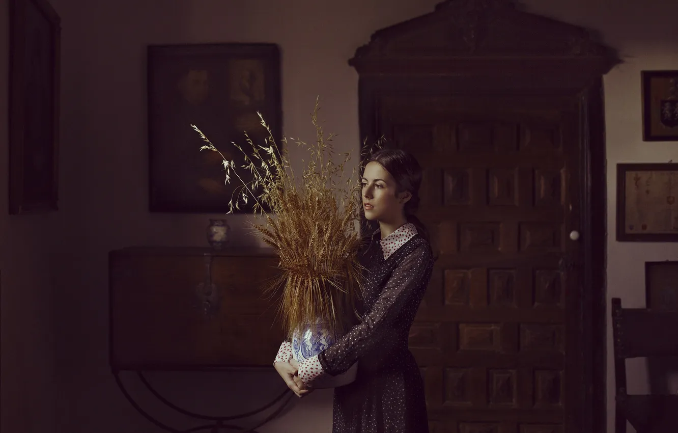 Photo wallpaper girl, face, room, dress