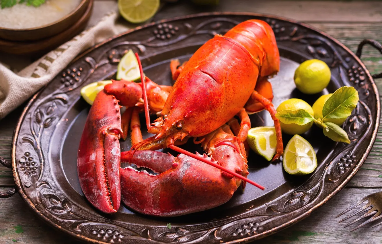 Photo wallpaper lemon, Omar, cancers