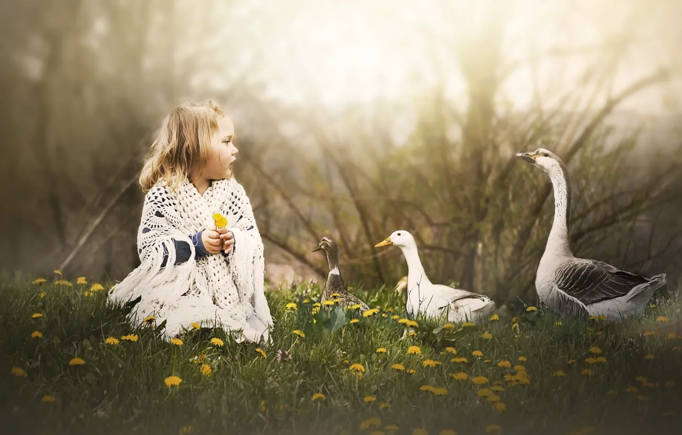 Photo wallpaper nature, girl, geese