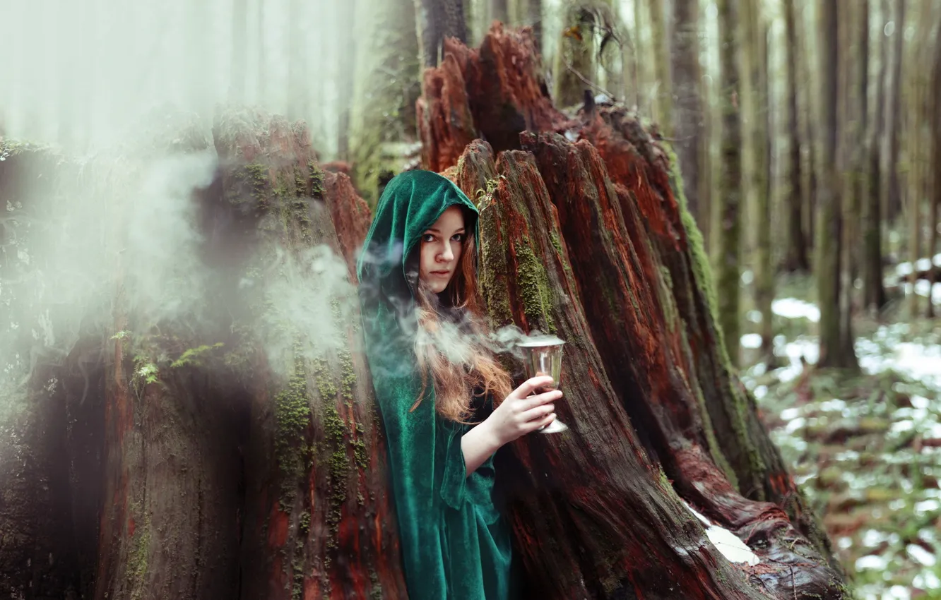 Photo wallpaper forest, girl, witch