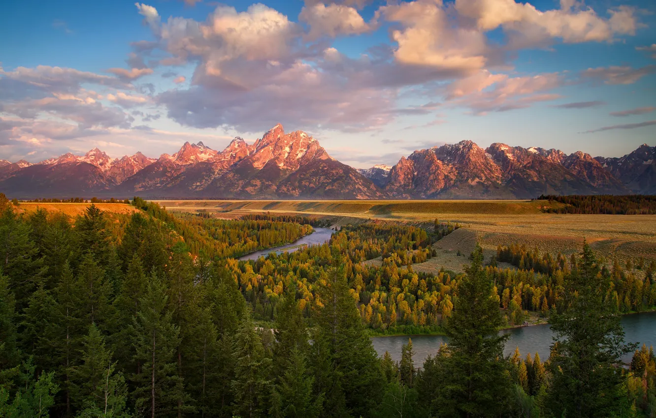 Photo wallpaper forest, clouds, mountains, view, ate