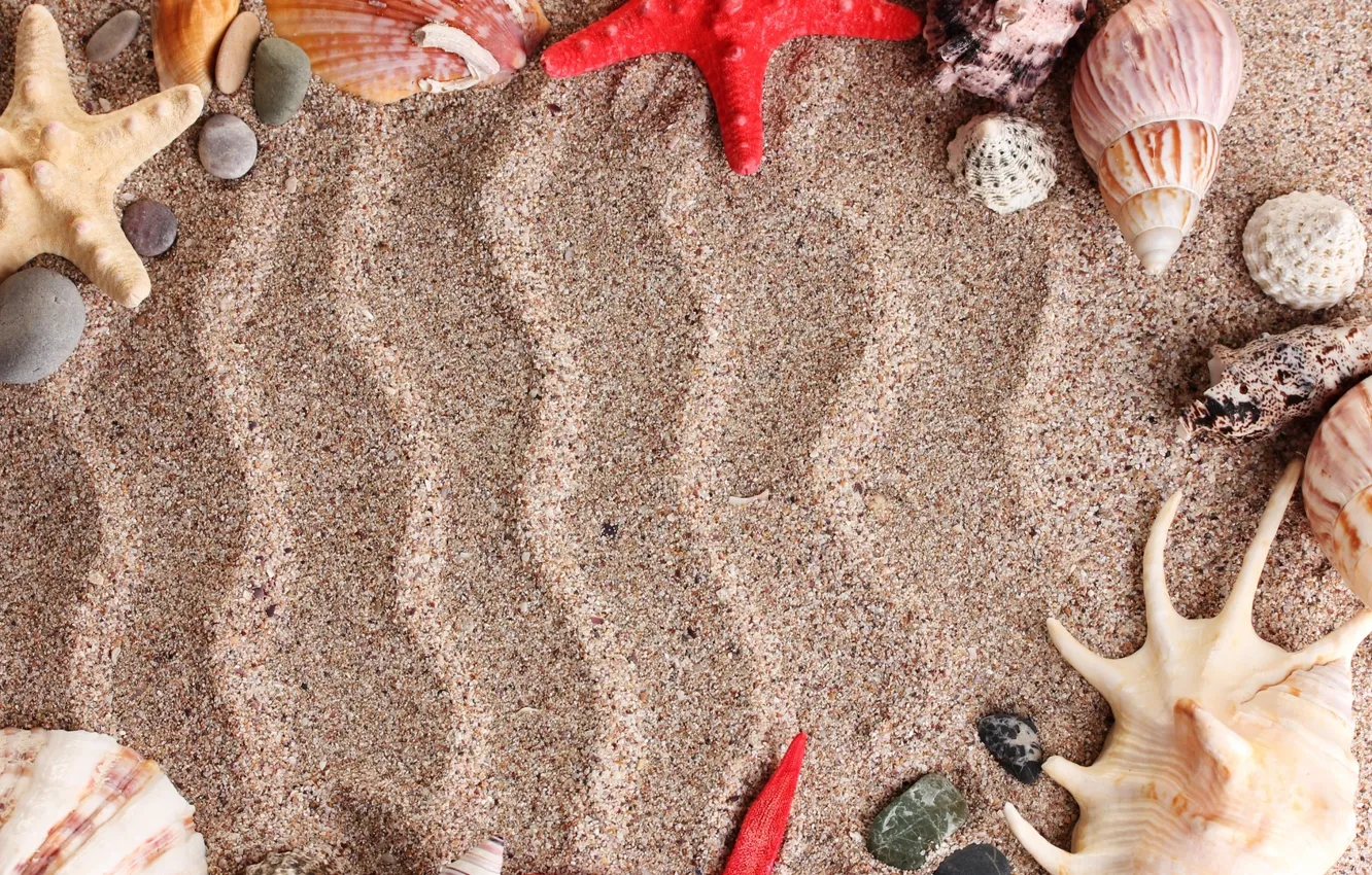 Photo wallpaper sand, sea, beach, summer, stars, stones, patterns, shell