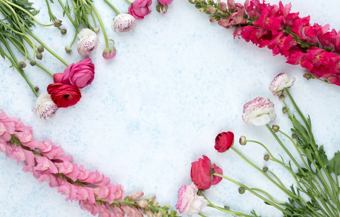 Photo wallpaper flowers, gladiolus, decor, Ranunculus