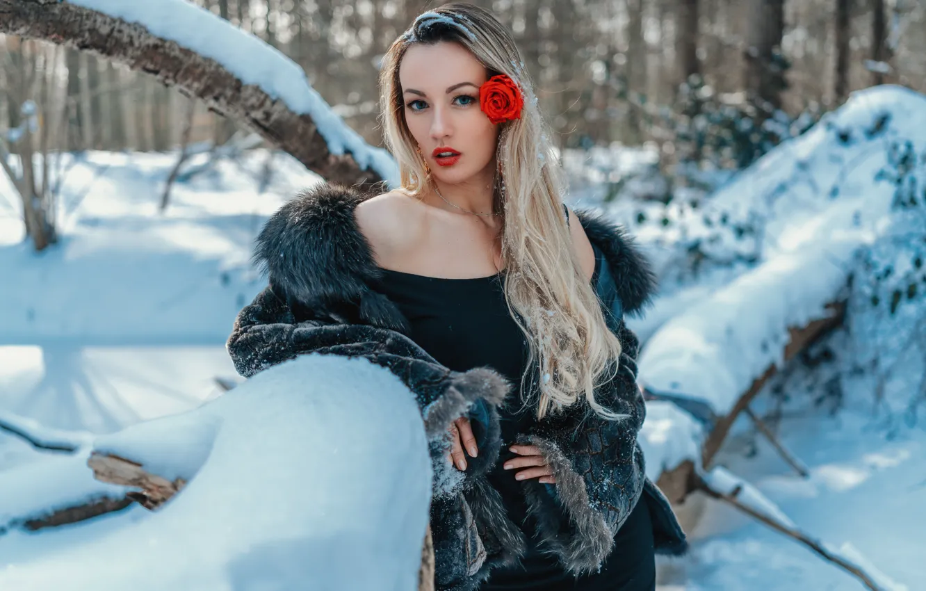 Photo wallpaper winter, forest, look, girl, snow, flowers, pose, roses