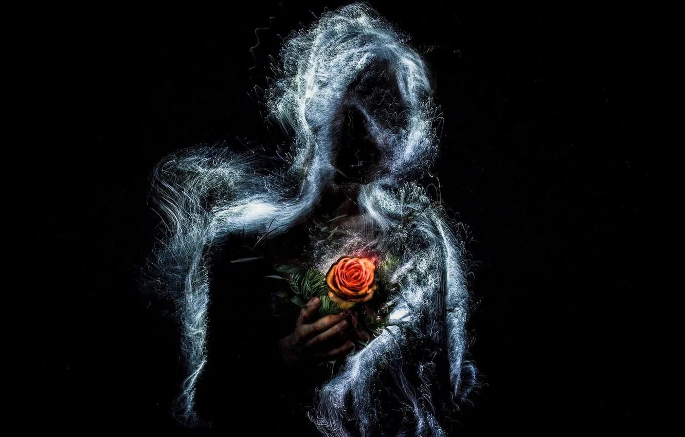 Photo wallpaper background, roses, silhouette