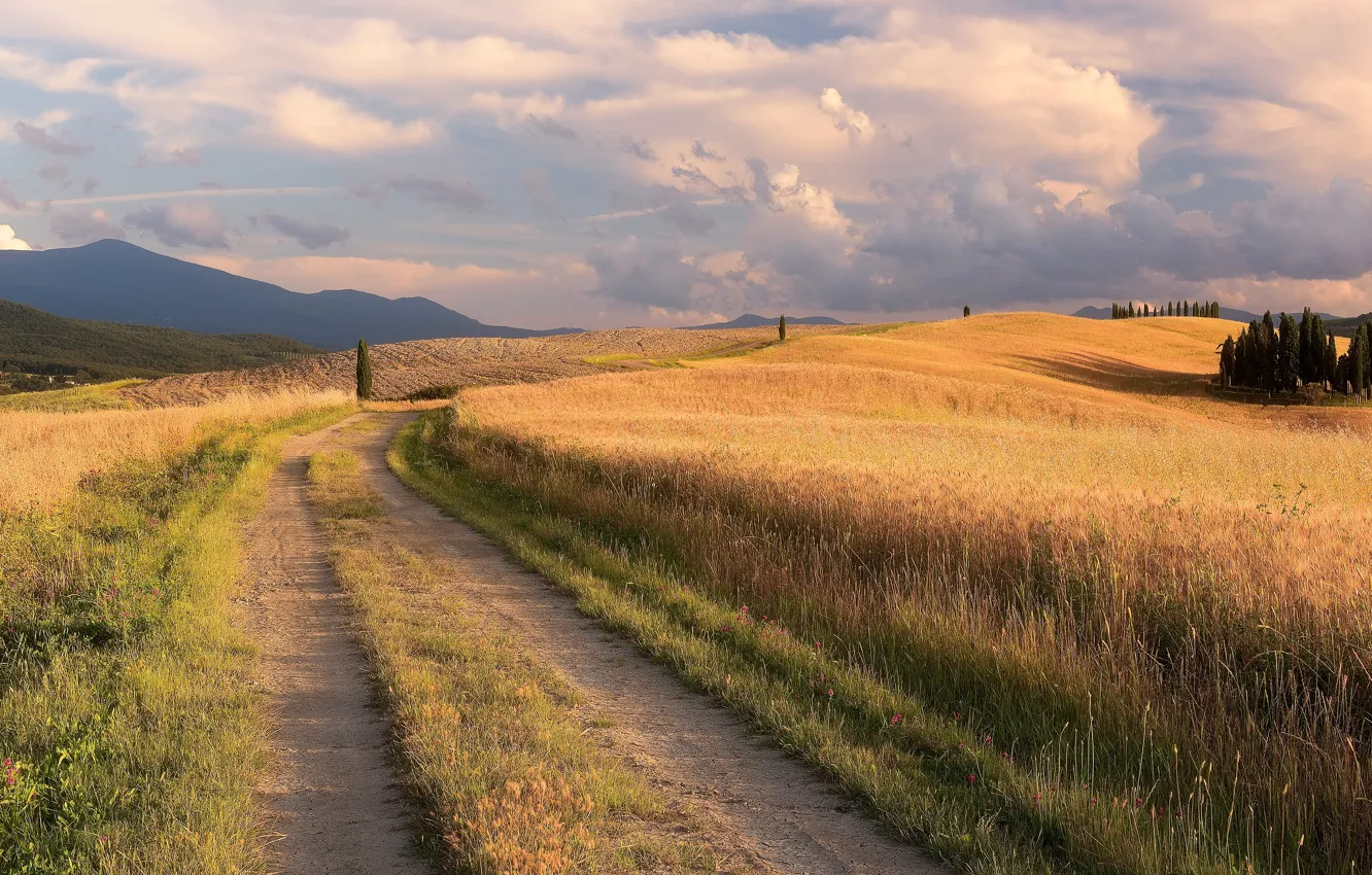 Photo wallpaper road, field, summer, grass, clouds, trees, mountains, the way