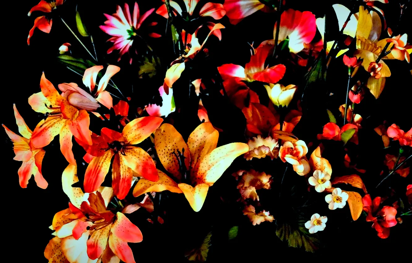 Photo wallpaper nature, background, Lily, petals