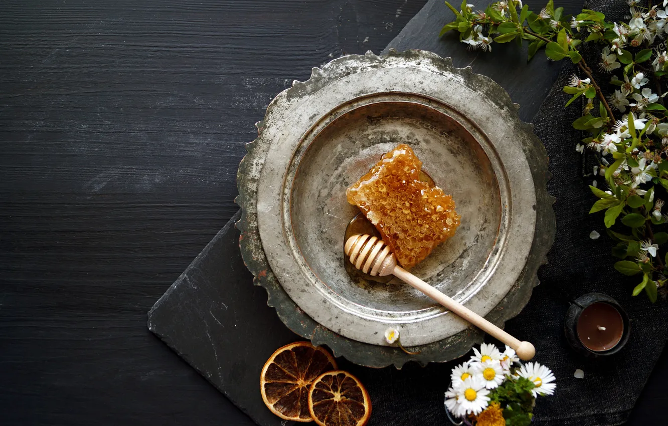 Photo wallpaper leaves, flowers, branches, cherry, the dark background, chamomile, spring, cell