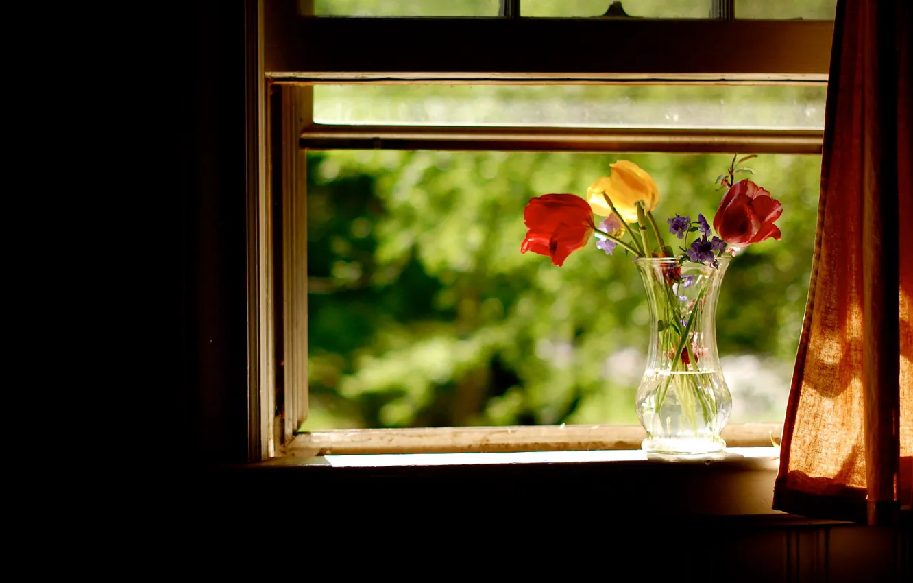 Photo wallpaper summer, flowers, window