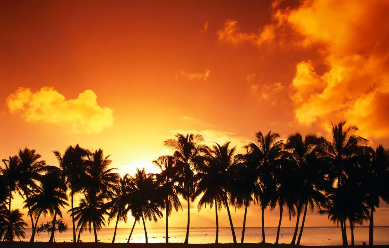 Photo wallpaper clouds, sunset, Palm trees