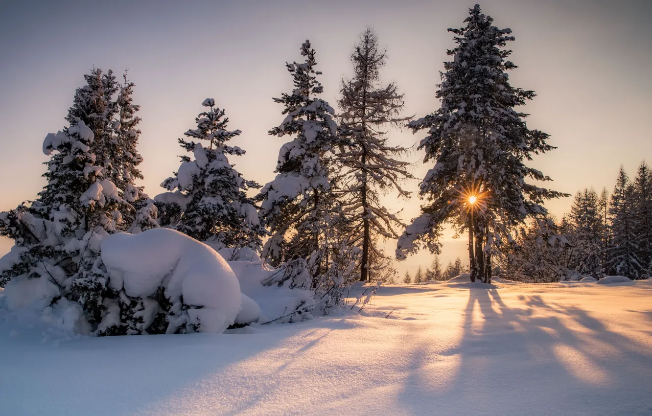 Photo wallpaper winter, the sun, rays, snow, trees, landscape, sunset, nature