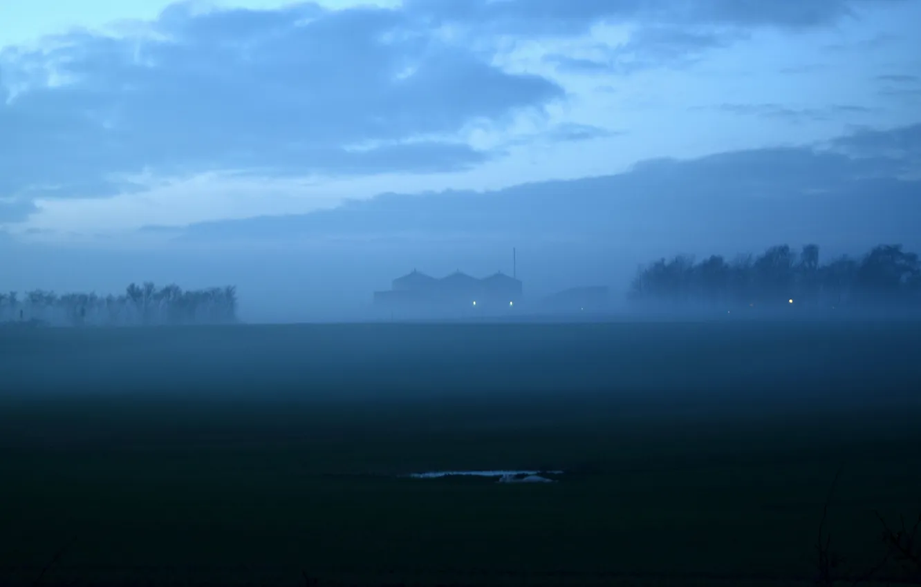 Photo wallpaper field, forest, the sky, clouds, trees, landscape, mountains, nature