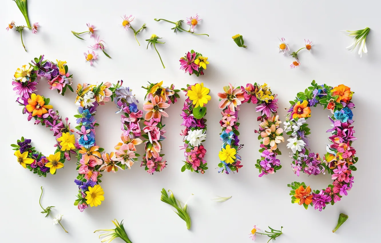 Photo wallpaper flowers, spring, colorful, flowers, spring