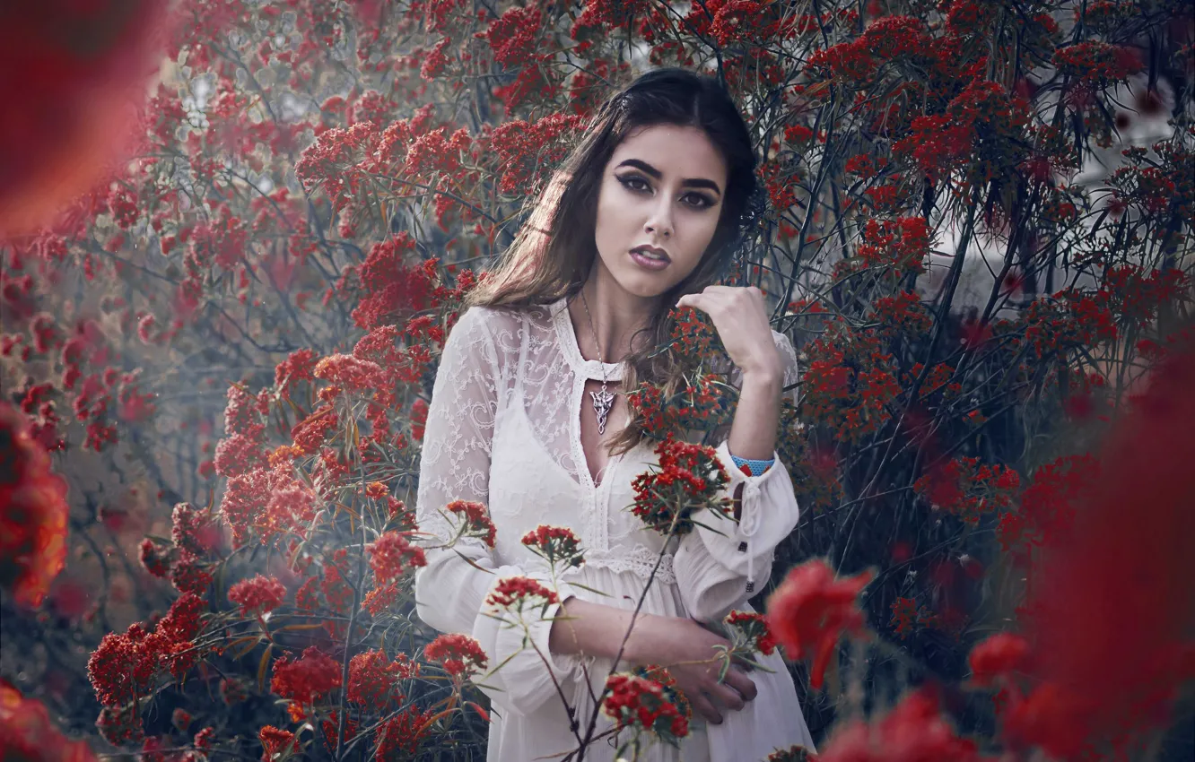 Photo wallpaper look, girl, flowers, branches, mood, flowering, the bushes, Anahi