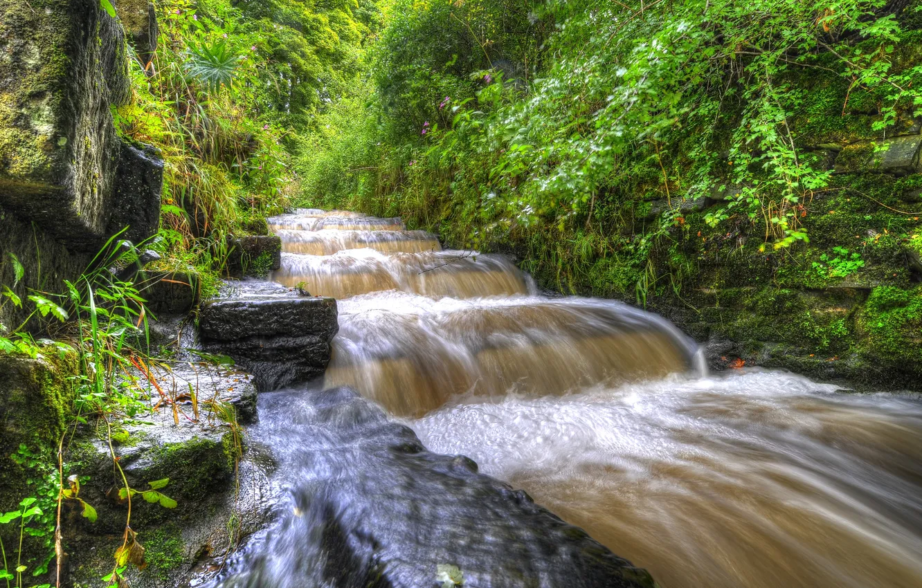 Photo wallpaper greens, forest, Park, stream, stones, England, waterfall, HDR