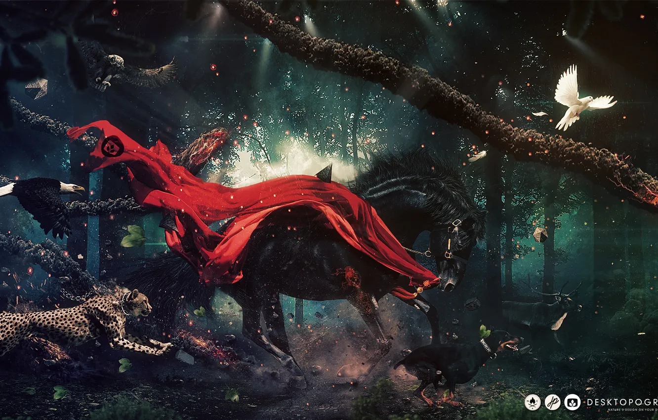 Photo wallpaper horse, owl, bird, eagle, dog, deer, sparks, pigeons