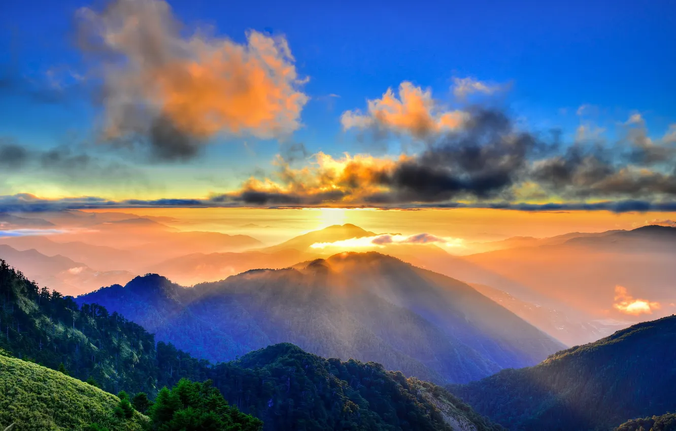 Photo wallpaper forest, the sun, mountains, dawn