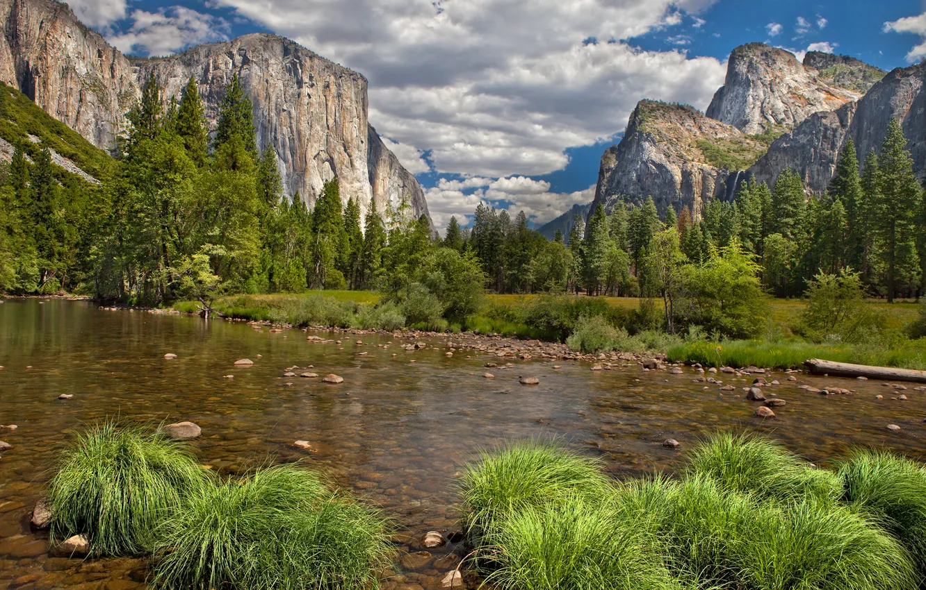 Photo wallpaper forest, mountains, nature, river