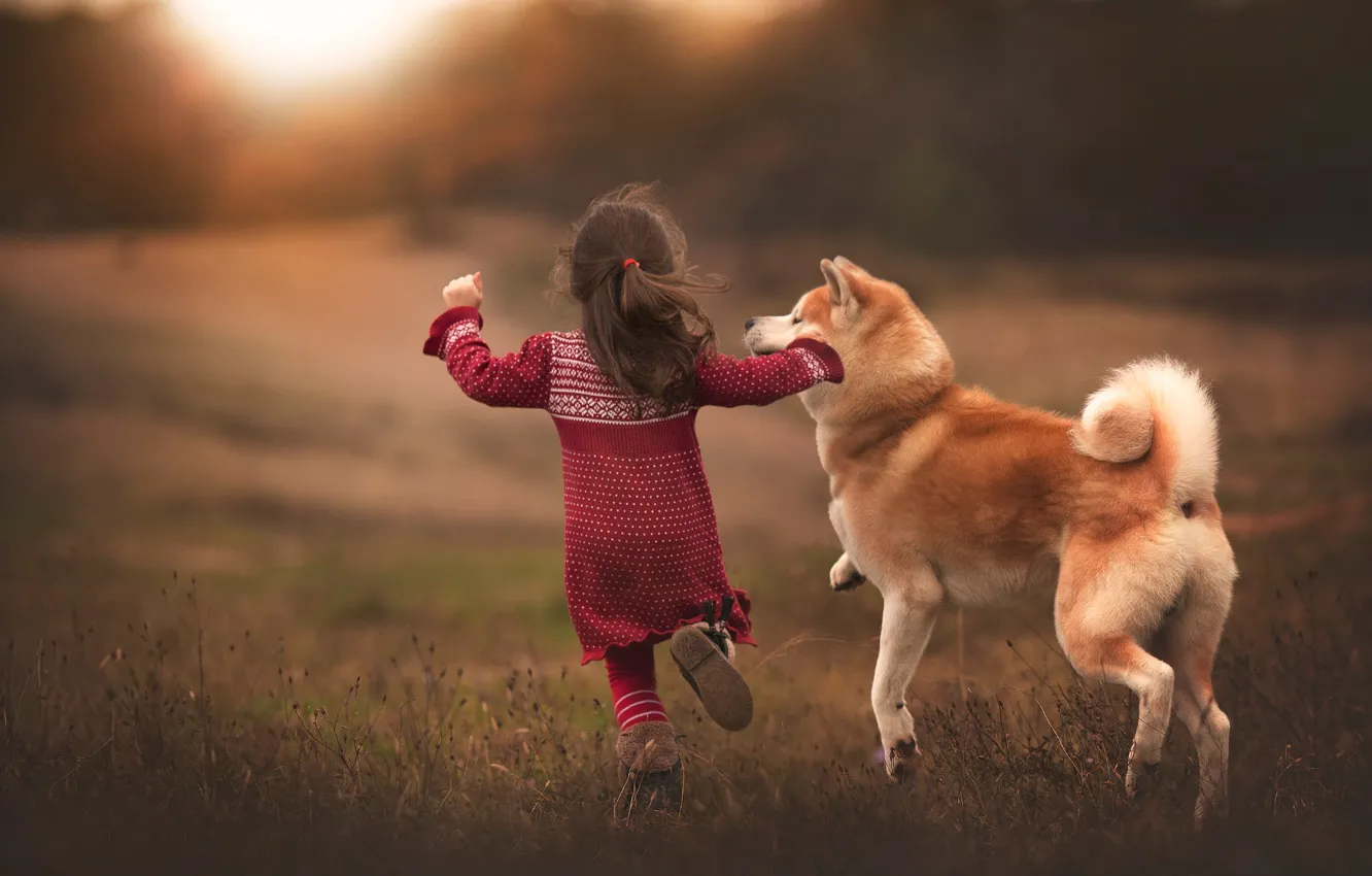 Photo wallpaper joy, dog, running, girl, friends