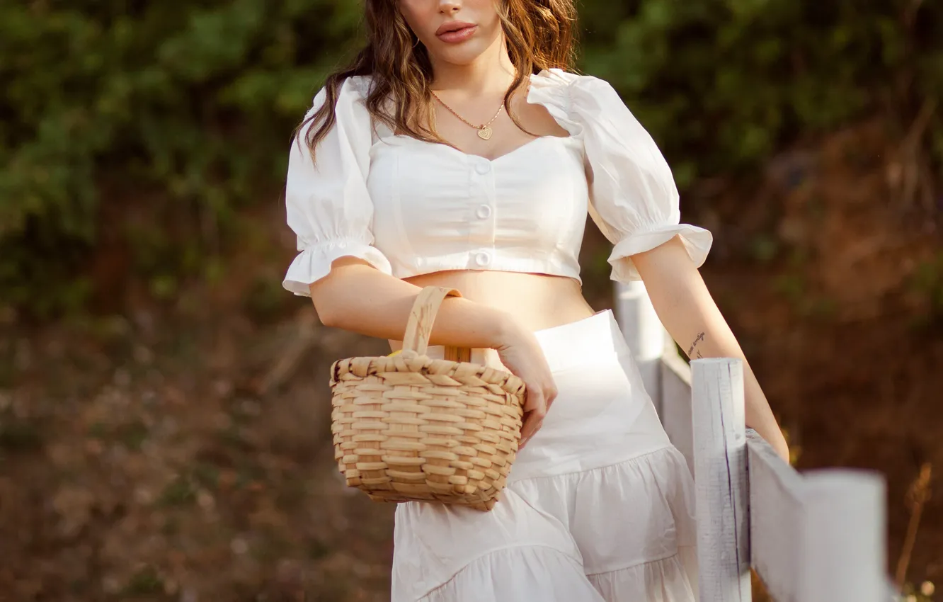 Photo wallpaper girl, basket, the fence, skirt, makeup, blouse, brown hair, top