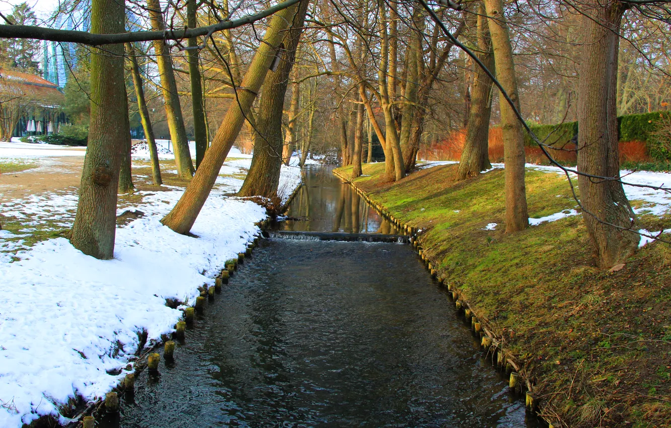 Photo wallpaper river, trees, water, park, Water Stream