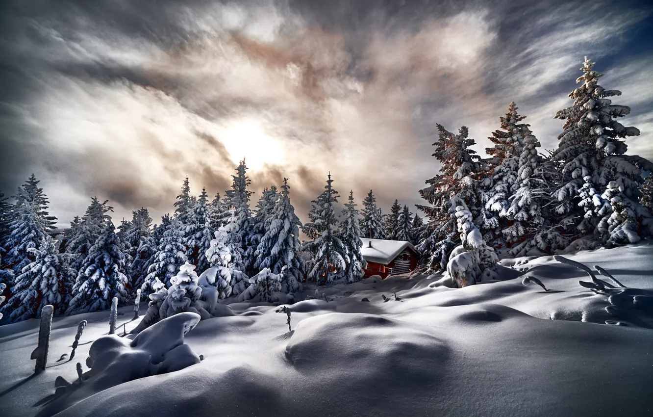 Photo wallpaper winter, snow, trees, landscape, nature, home, ate, slope